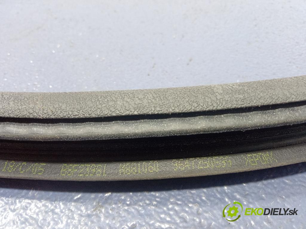 Citroen C4 2005 Těsnění: dveře 9647250599