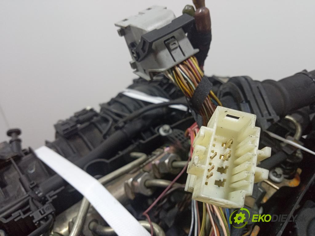 Bmw Seria 5 2010 motor Diesel: N47D20C