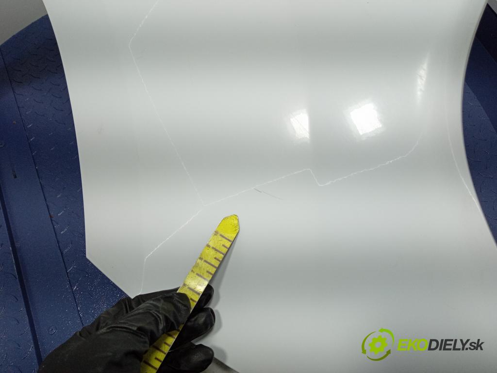 Renault Kangoo 2016 blatnik před v pravo: 631003601R