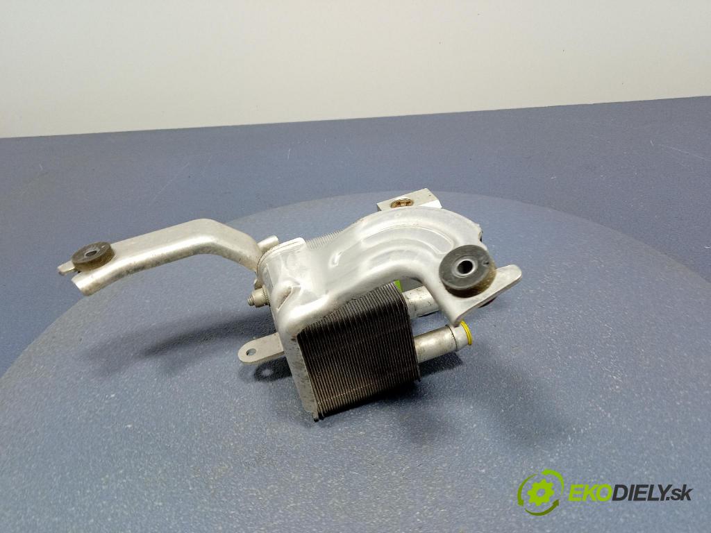 Ford Mustang mach-e 2021 chladič Klimatizácia: LJ9H10C708AE