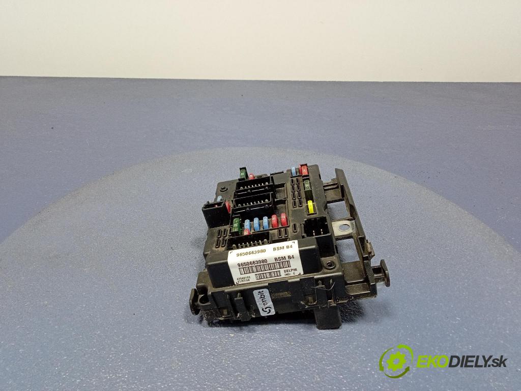 Peugeot 206 2004 skříňka Pojistky 9650663980