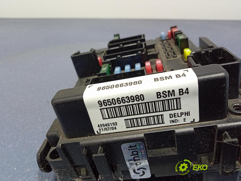 Peugeot 206 2004 skříňka Pojistky 9650663980