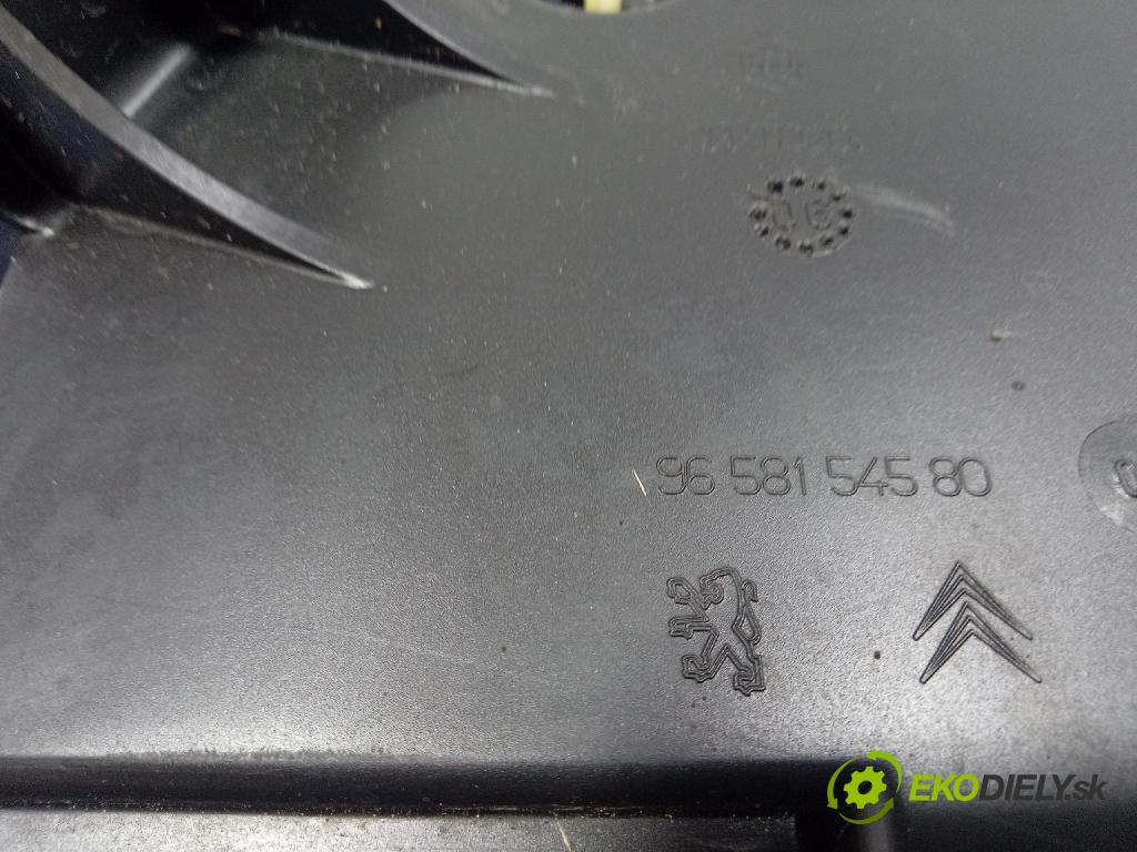 Citroen C4 picasso 2007 Nádrž: AdBlue: 9658154580