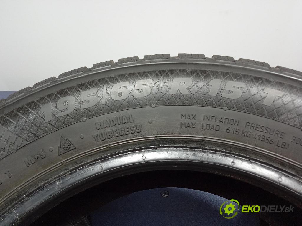 Skoda Octavia 2005 pneumatiky: Zima 15534410000