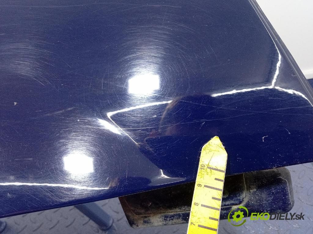 Dacia Logan 2010 blatnik před v pravo: