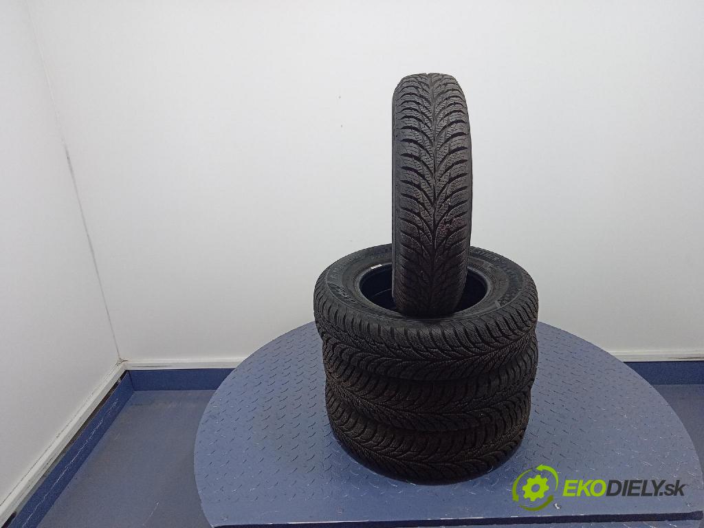 Fiat Punto 2003 pneumatiky: Zima 4050496000370
