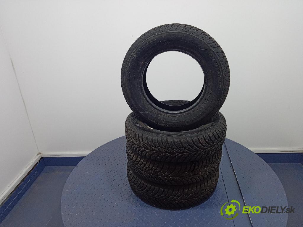 Fiat Punto 2003 pneumatiky: Zima 4050496000370