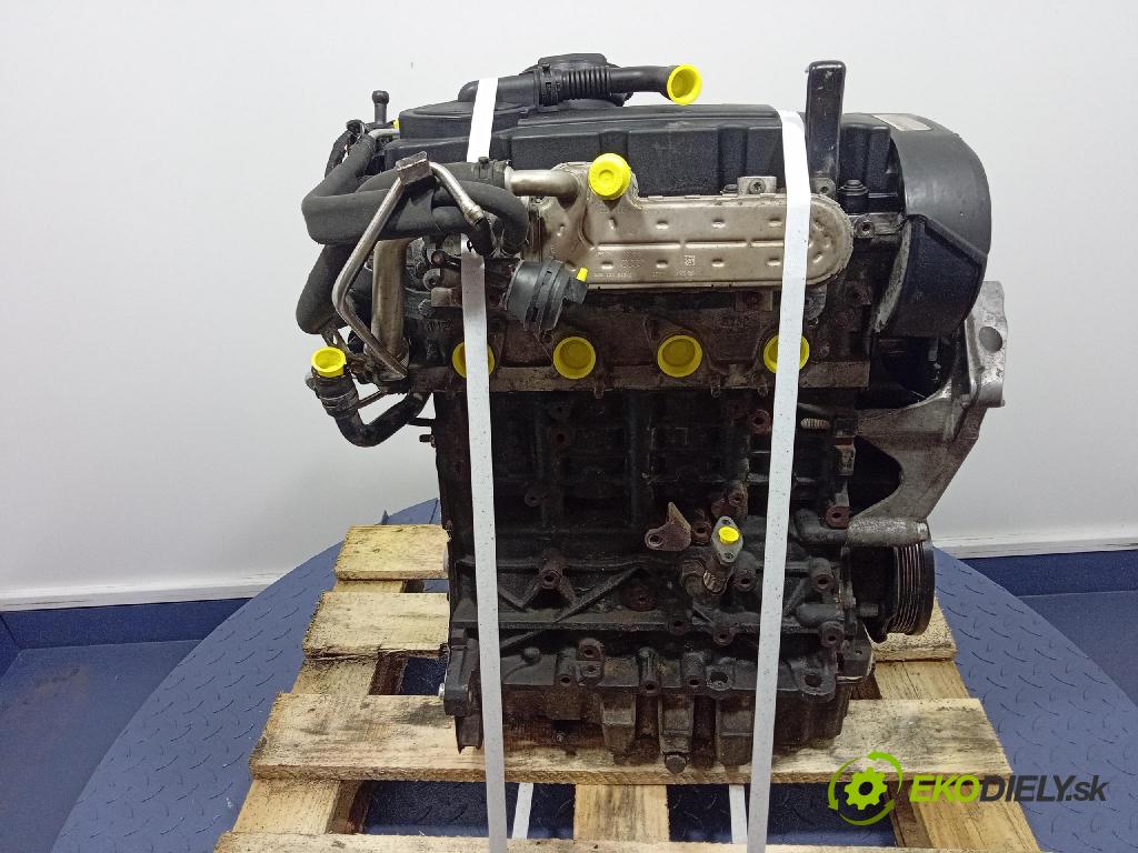 Volkswagen Passat 2006 motor Diesel: BKP