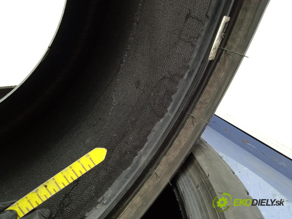 Porsche Panamera 0 pneumatiky: Zima 8019227252309