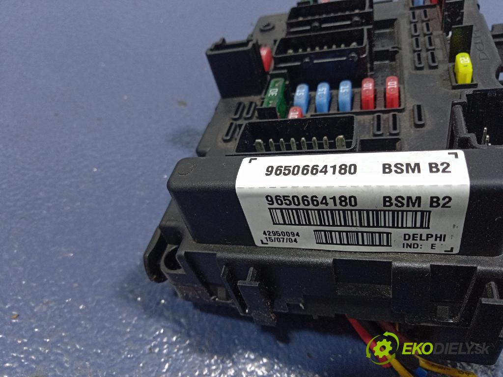 Peugeot 206 2004 řídící jednotka 9650664180