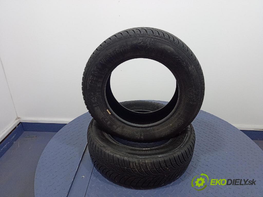 Fiat Punto 2007 pneumatiky: Zima 8904288100310