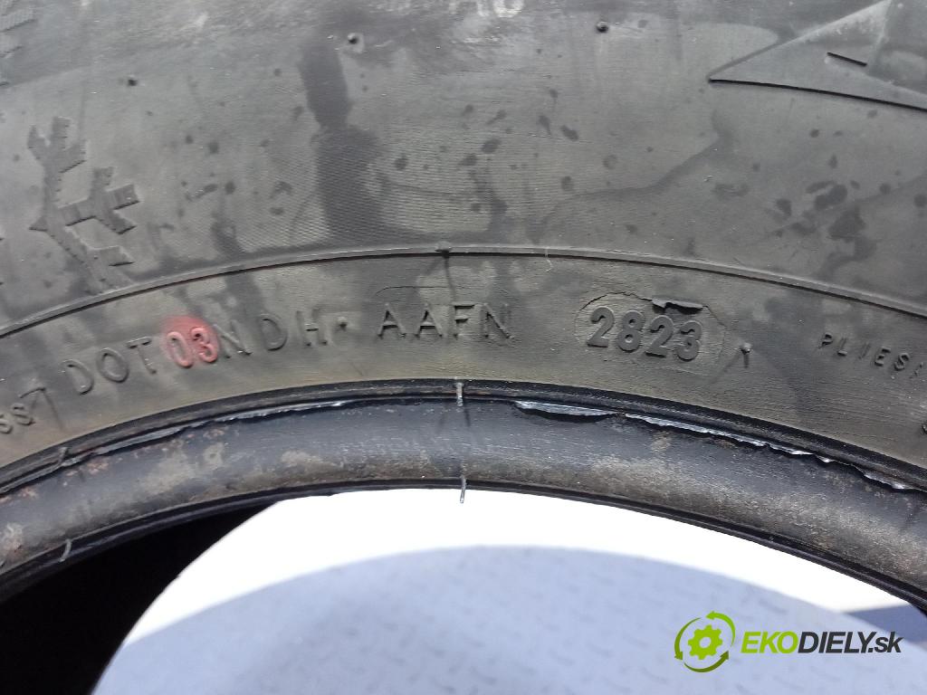 Fiat Punto 2007 pneumatiky: Zima 8904288100310