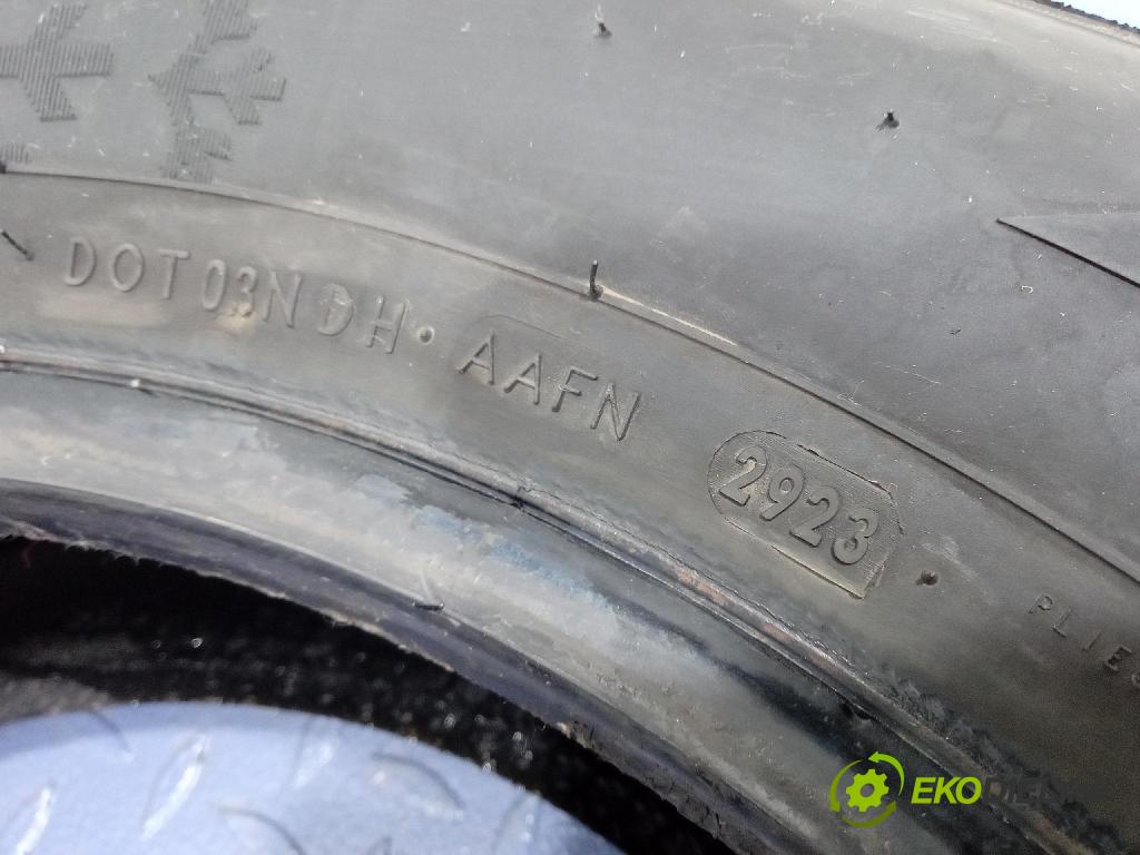 Fiat Punto 2007 pneumatiky: Zima 8904288100310
