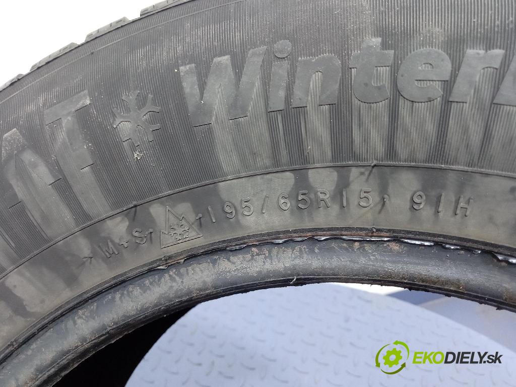 Fiat Punto 2007 pneumatiky: Zima 8904288100310