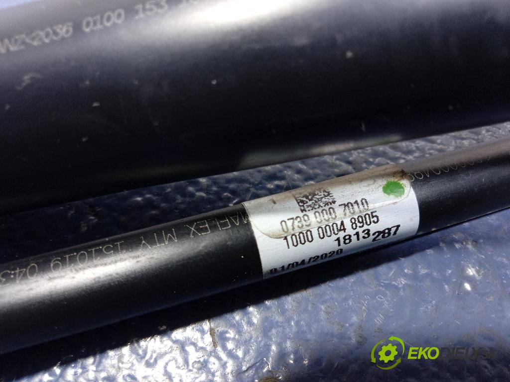 Bmw X6 2020 Infuze: Paliva: 7440011