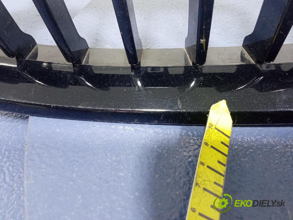 Bmw Seria 3 2014 mřížka / Gril:
