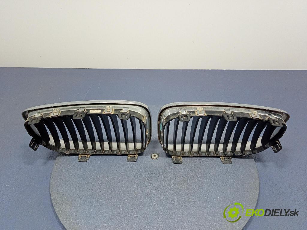 Bmw Seria 1 2007 miežka / Gril: 7166440 7166439