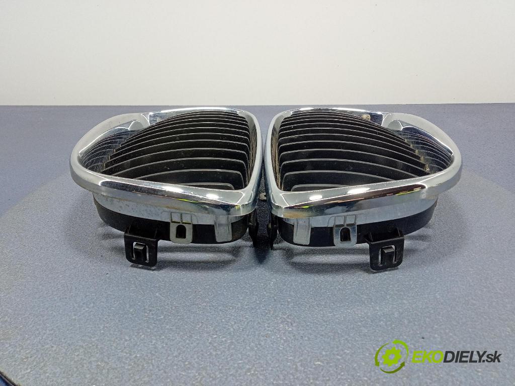 Bmw Seria 1 2007 miežka / Gril: 7166440 7166439