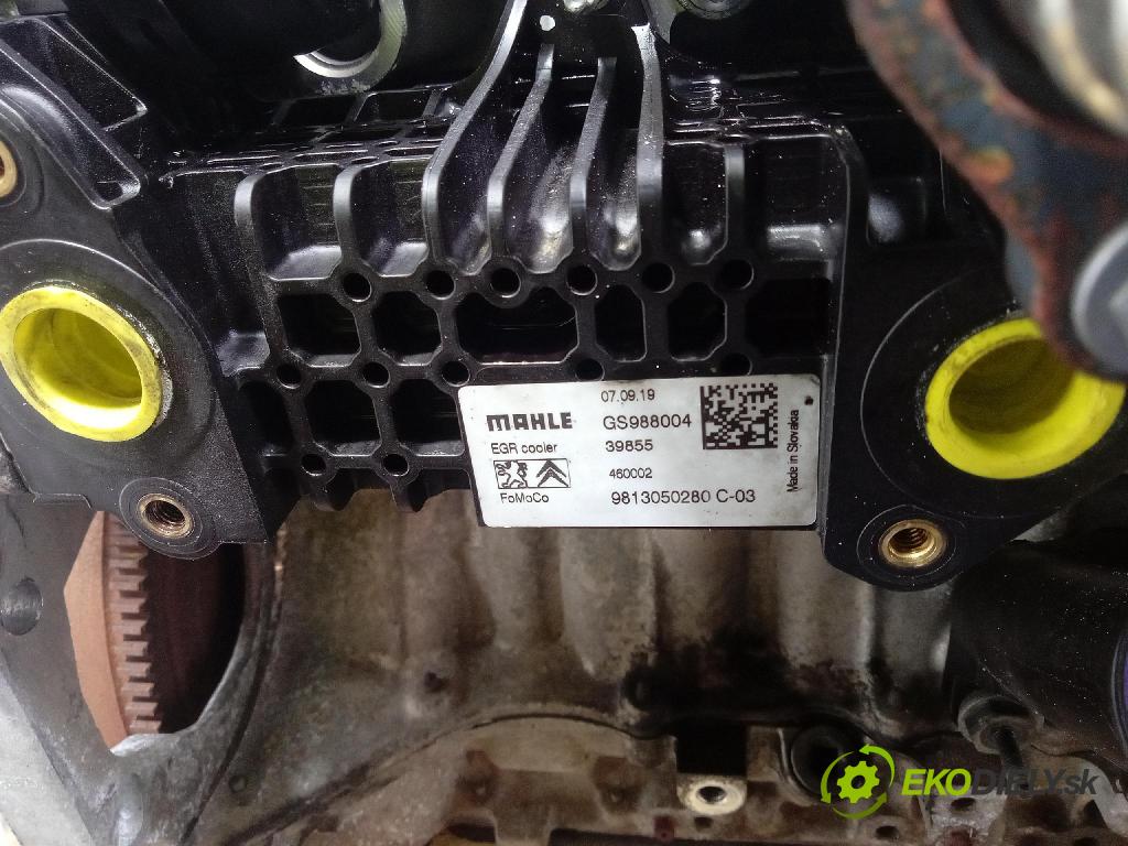 Citroen Berlingo 2019 motor Diesel: DV5RD