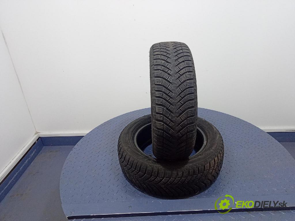 Renault Scenic 2000 pneumatiky: Zima 6970364578948