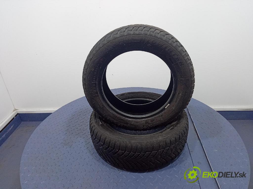 Renault Scenic 2000 pneumatiky: Zima 6970364578948