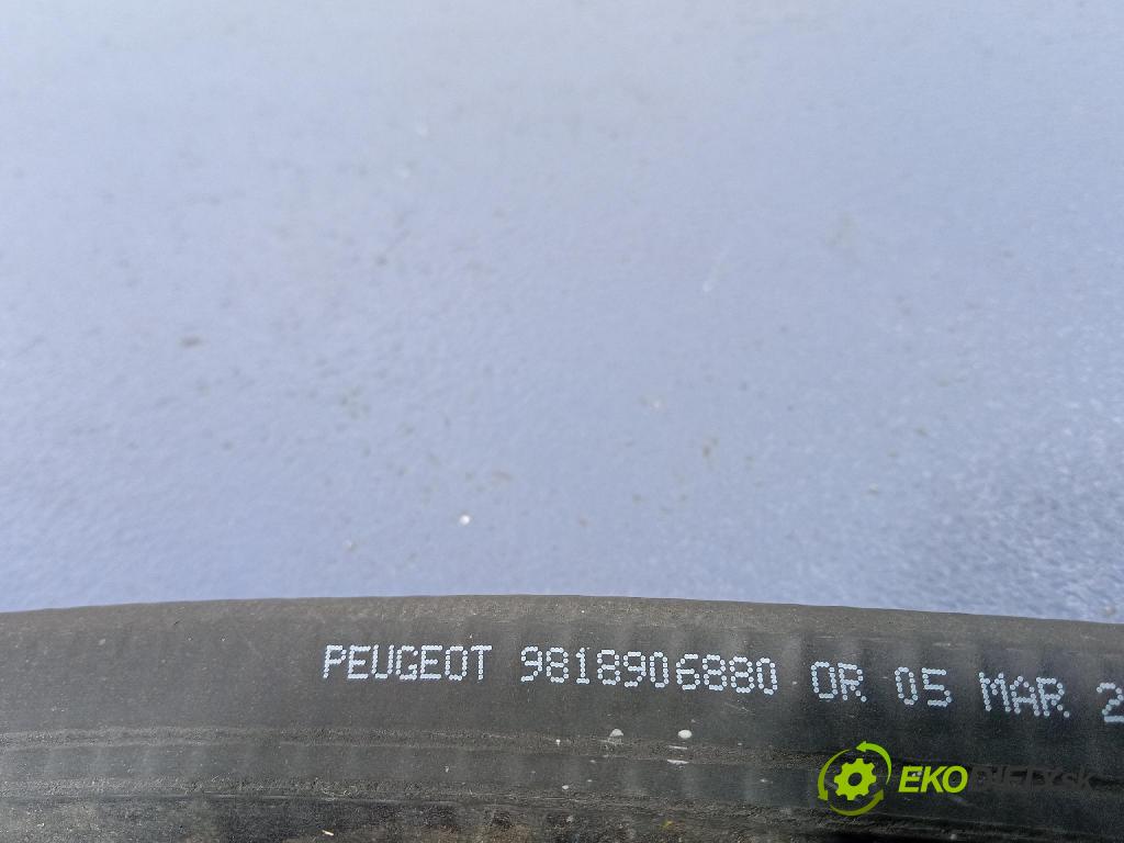 Peugeot 508 2021 Těsnění: dveře 9818906880