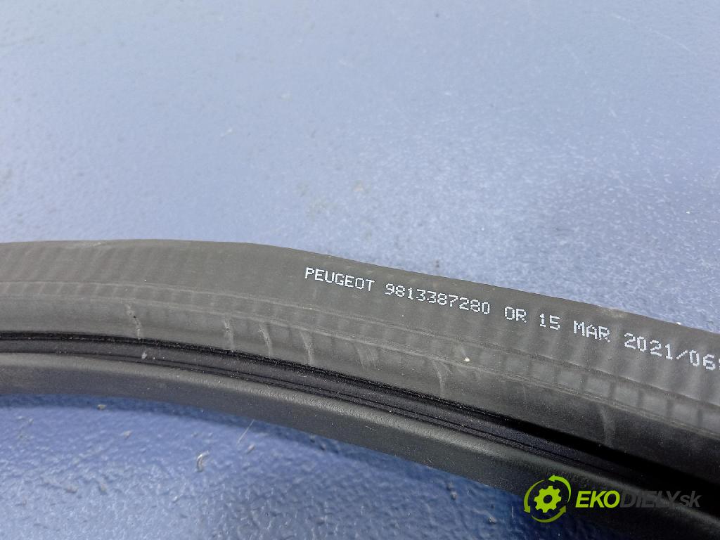 Peugeot 508 2021 Těsnění: dveře 9813387280