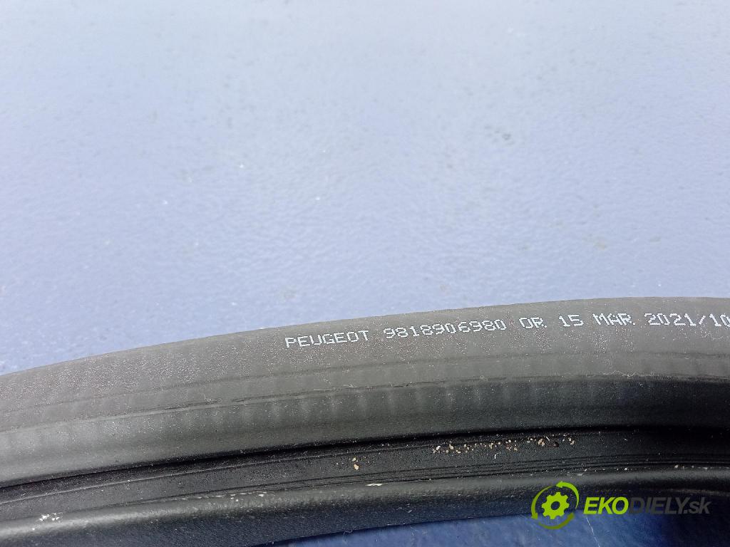 Peugeot 508 2021 Těsnění: dveře 9818906980