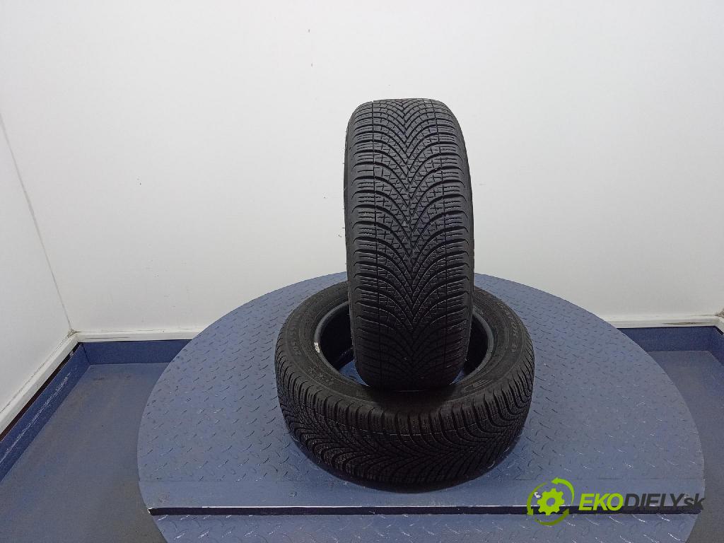 Mitsubishi Outlander 2007 pneumatika Multi-sezóna: 4038526046925