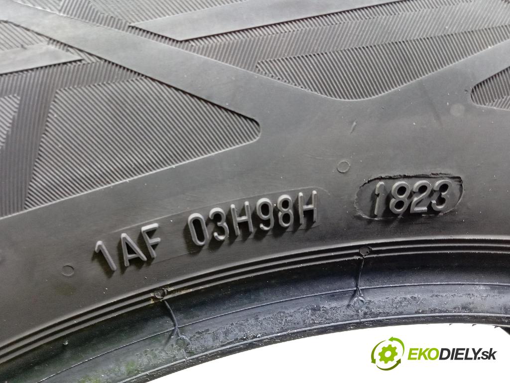 Renault Captur 2023 pneumatika Leto: 4019238056624