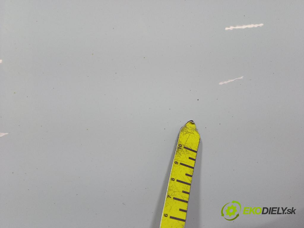 Volkswagen Caddy life 2008 dvere zad pravé 01