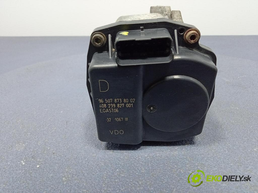 Citroen C5 2007 klapka 9650787380