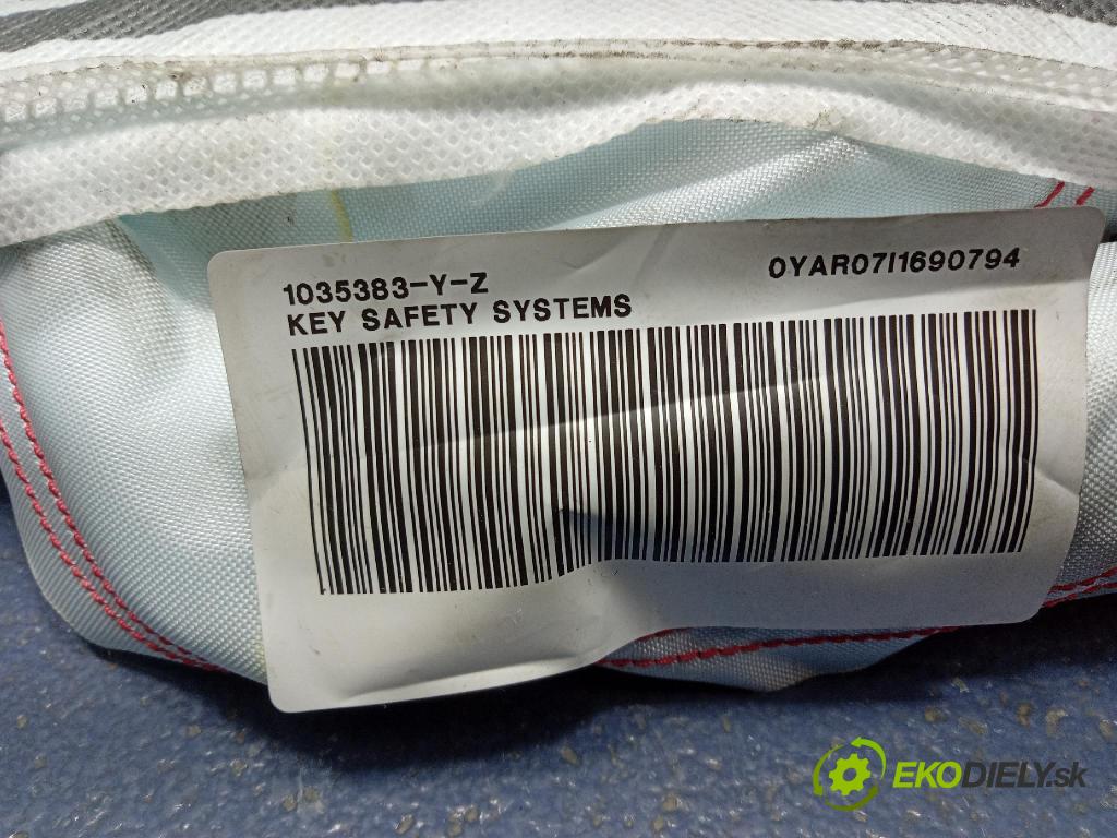 Skoda Fabia 2018 Airbag: clona x 6V0880742B