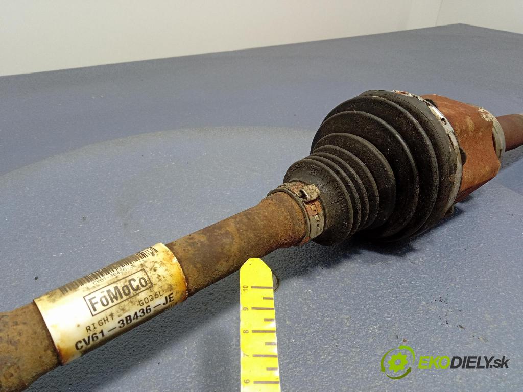 Ford Escape 2019 poloos Prava: Predné CV61-3B436-JE