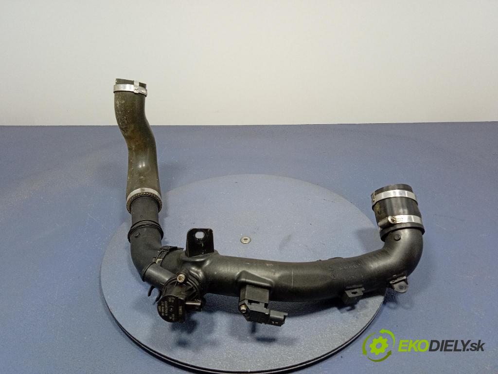 Ford Escape 2019 trubka Vzduch: F1F1-6C646-CB