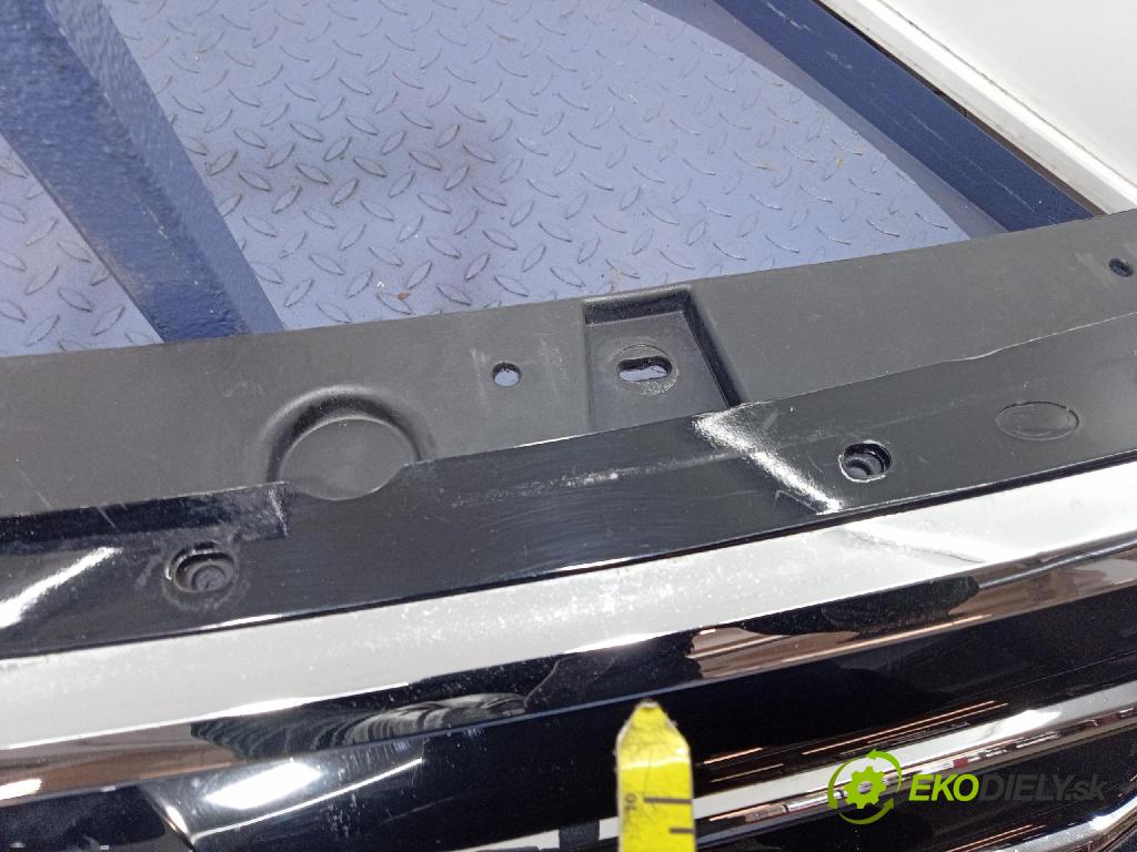 Ford Escape 2019 miežka / Gril: GV44-8A164-A