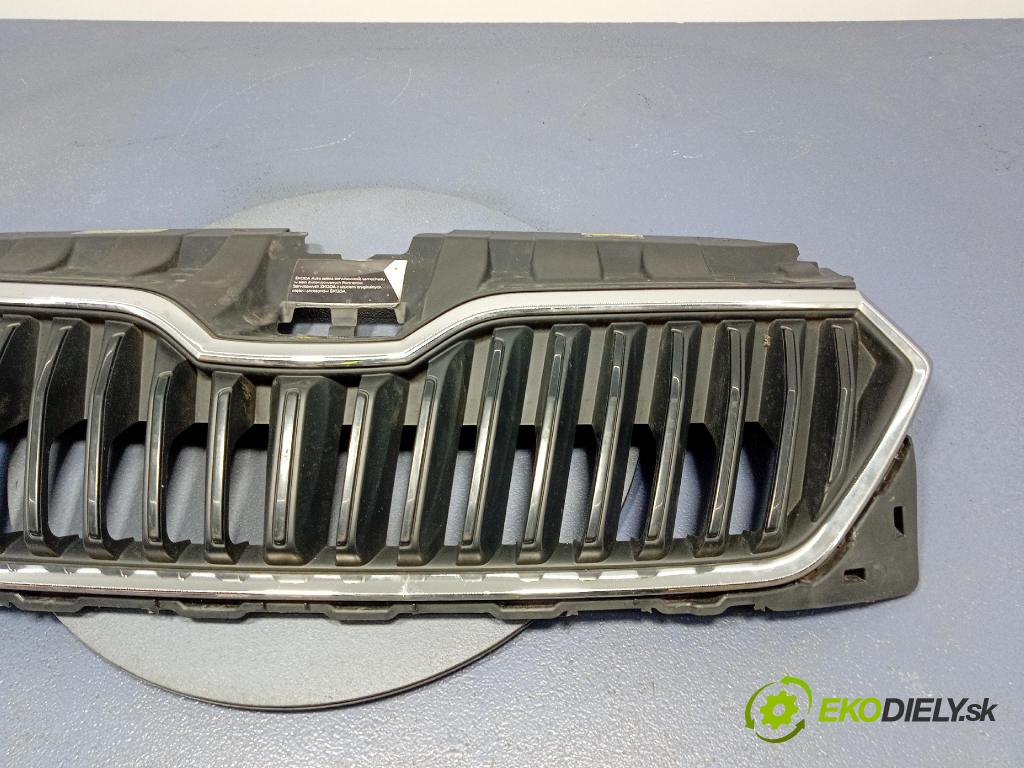 Skoda Fabia 2020 miežka / Gril: 6V0853653C