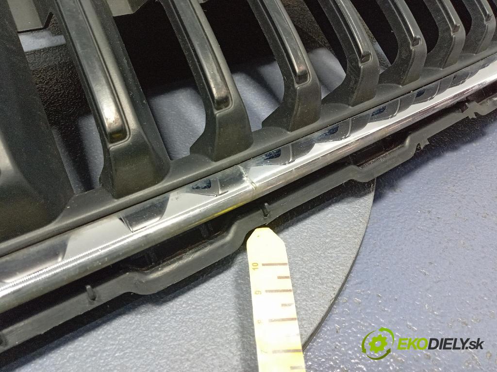 Skoda Fabia 2020 miežka / Gril: 6V0853653C