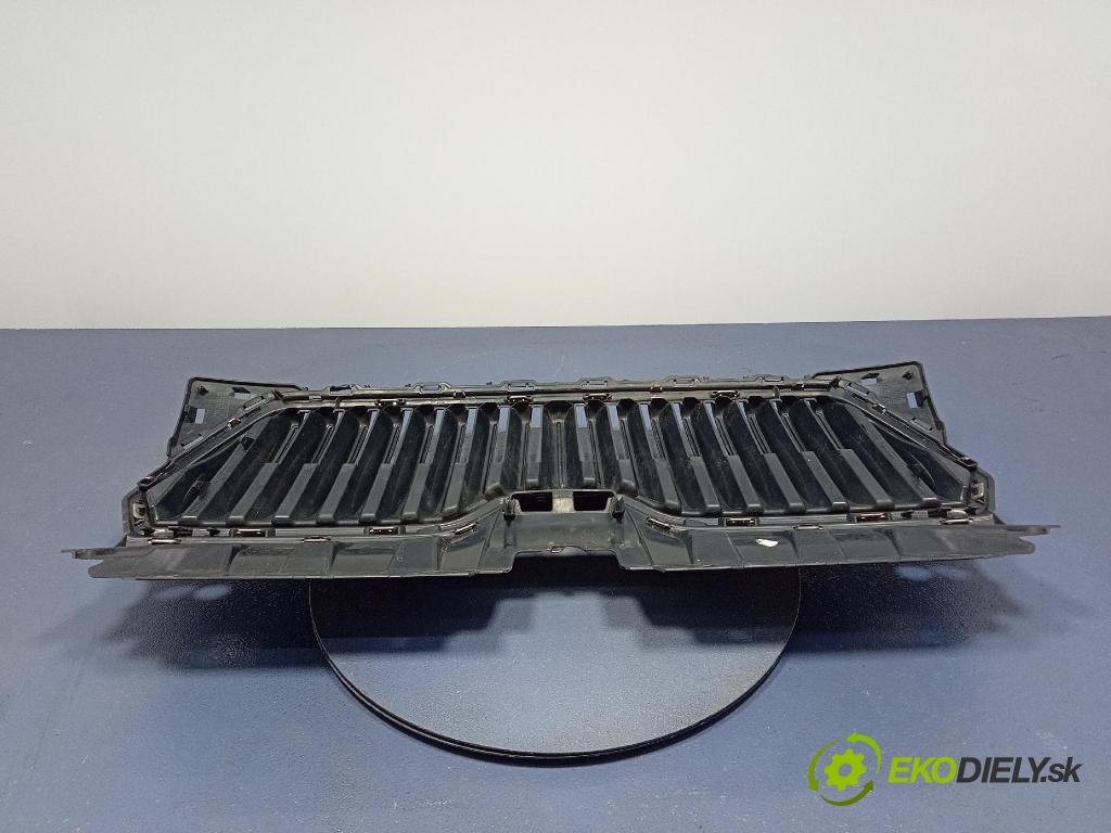 Skoda Fabia 2020 miežka / Gril: 6V0853653C