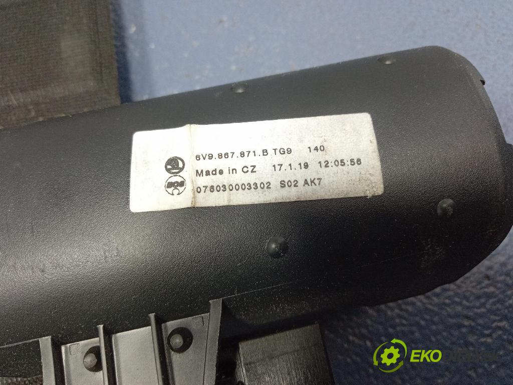 Skoda Fabia 2020 roleta 6V9867871B