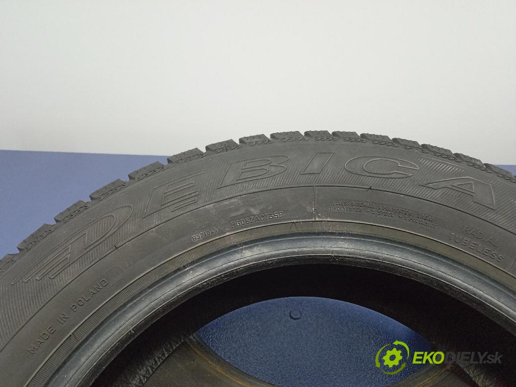 Skoda Fabia 2003 pneumatika ZIMA: 4038526036124