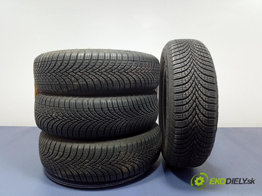 Fiat Punto 2006 pneumatika Multi-sezóna: 4038526046802