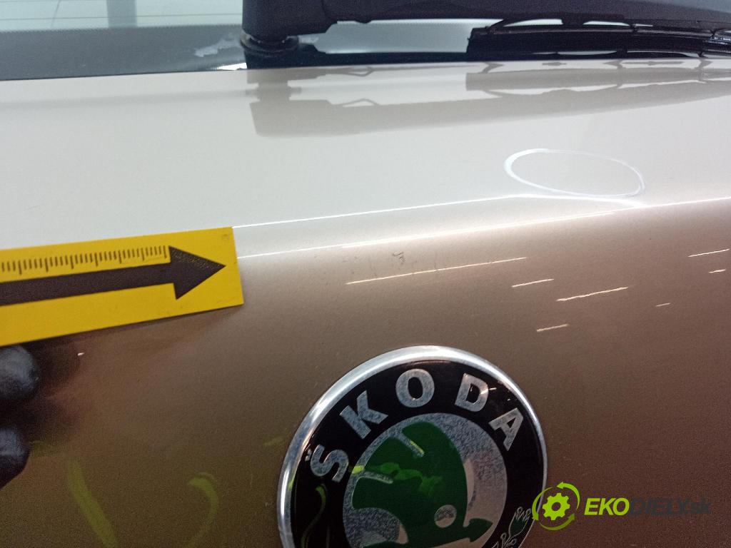 Skoda Octavia 2004 zadní dveře kufra: kufr