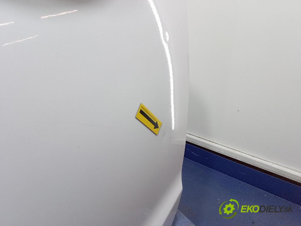 Ford Fiesta 2010 dveře před Vlevo, odjet: