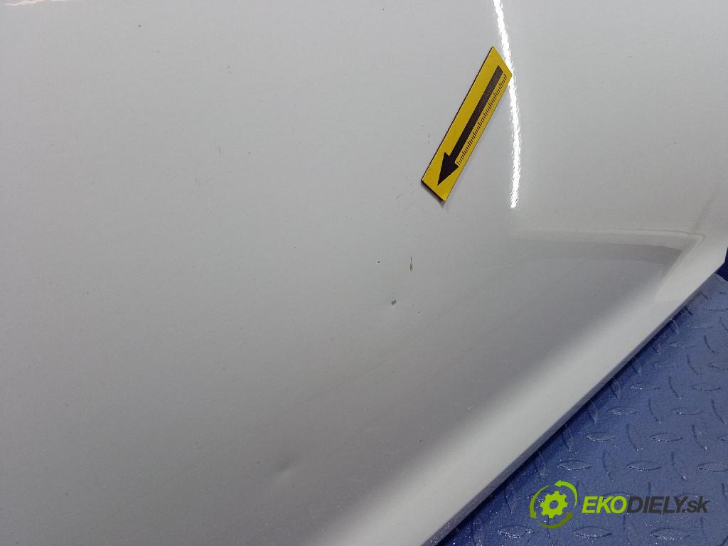 Ford Fiesta 2010 dveře před prave