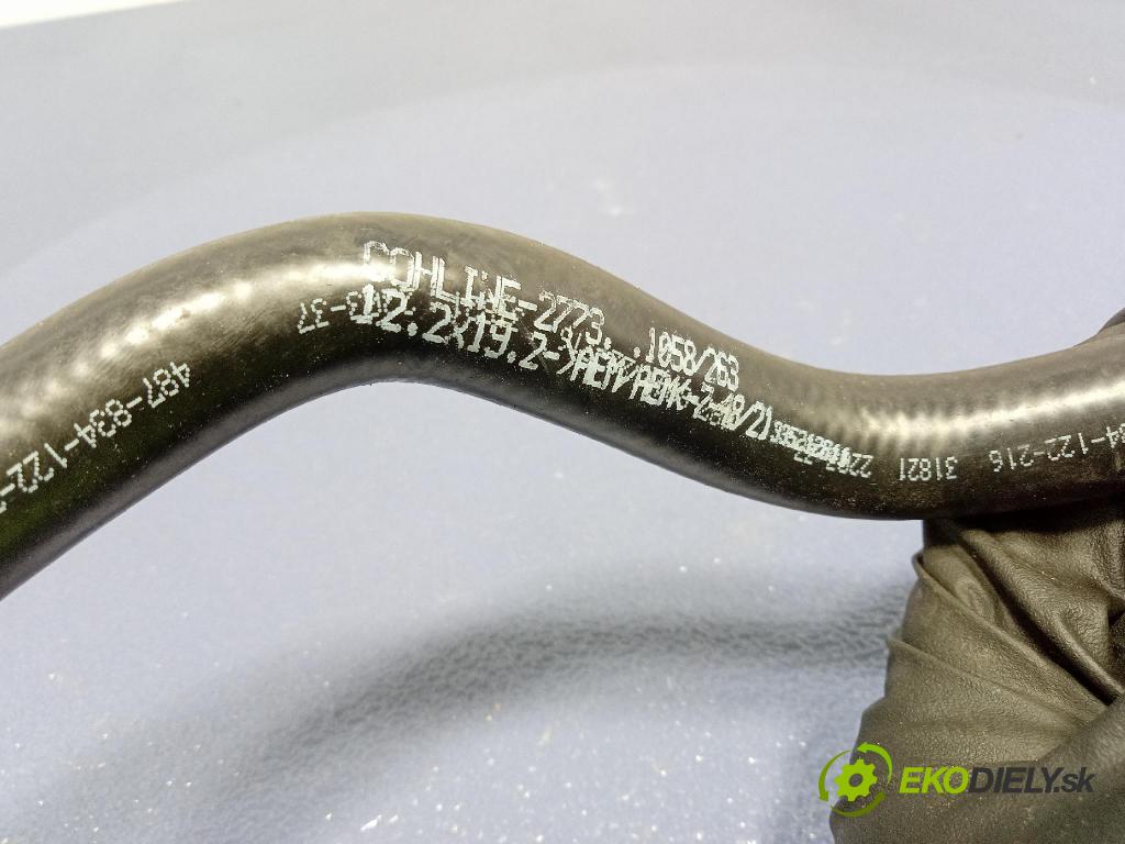 Audi SQ8 2022 trubka Olejový: 4N0317818AF