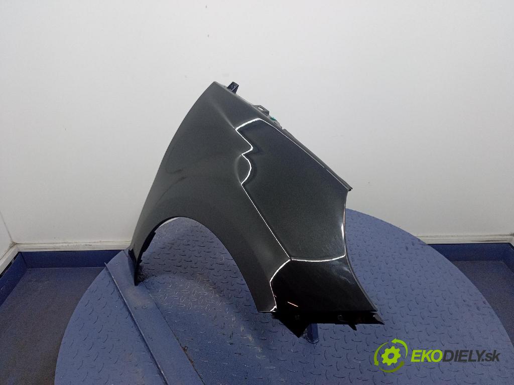 Renault Scenic 2009 blatnik před v pravo: