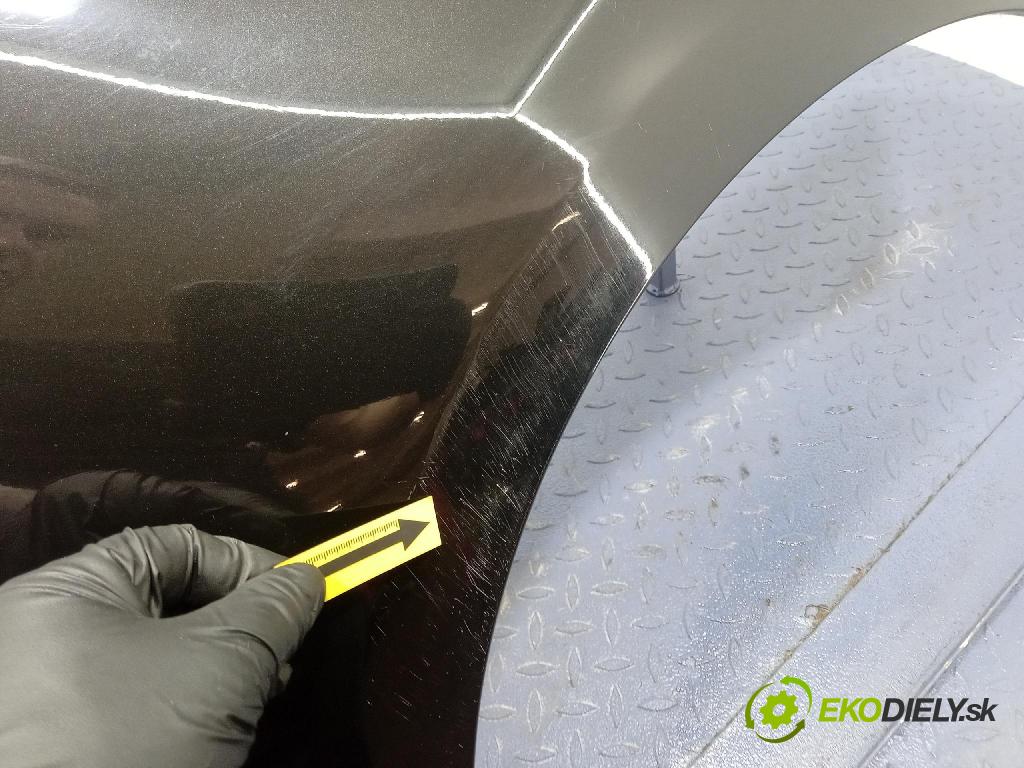 Renault Scenic 2009 blatnik před v pravo: