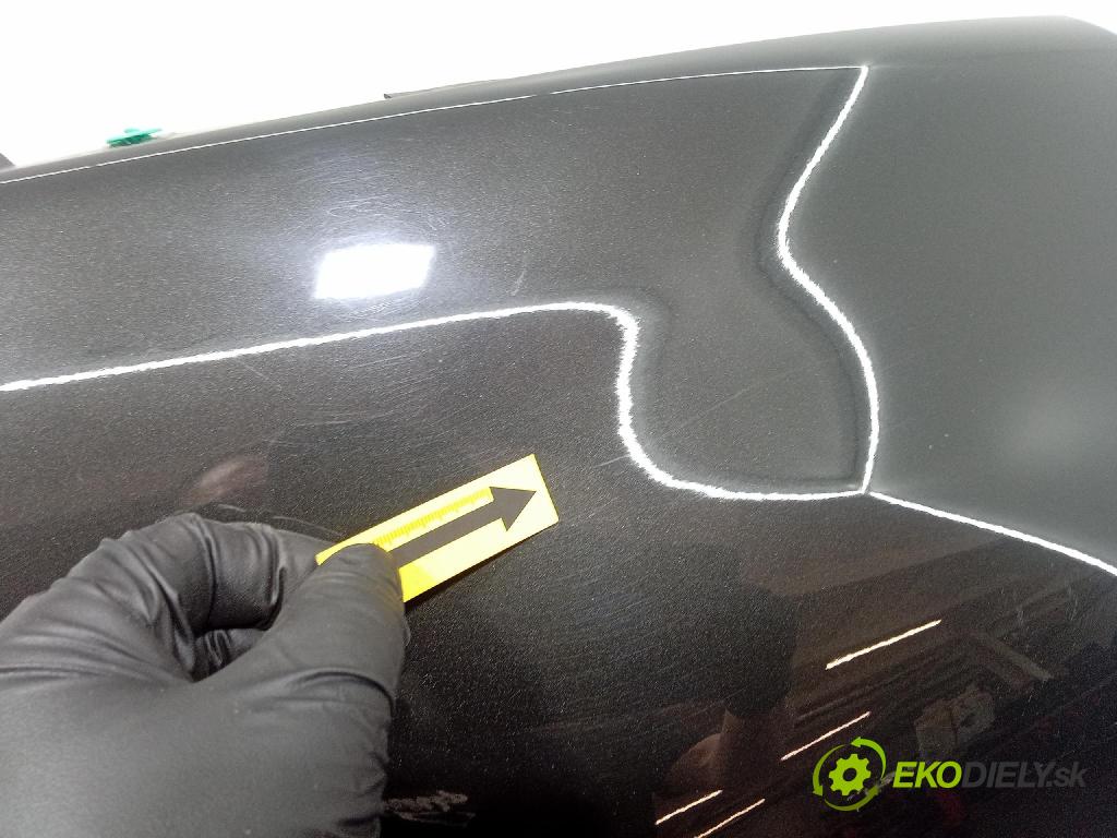 Renault Scenic 2009 blatnik před v pravo: