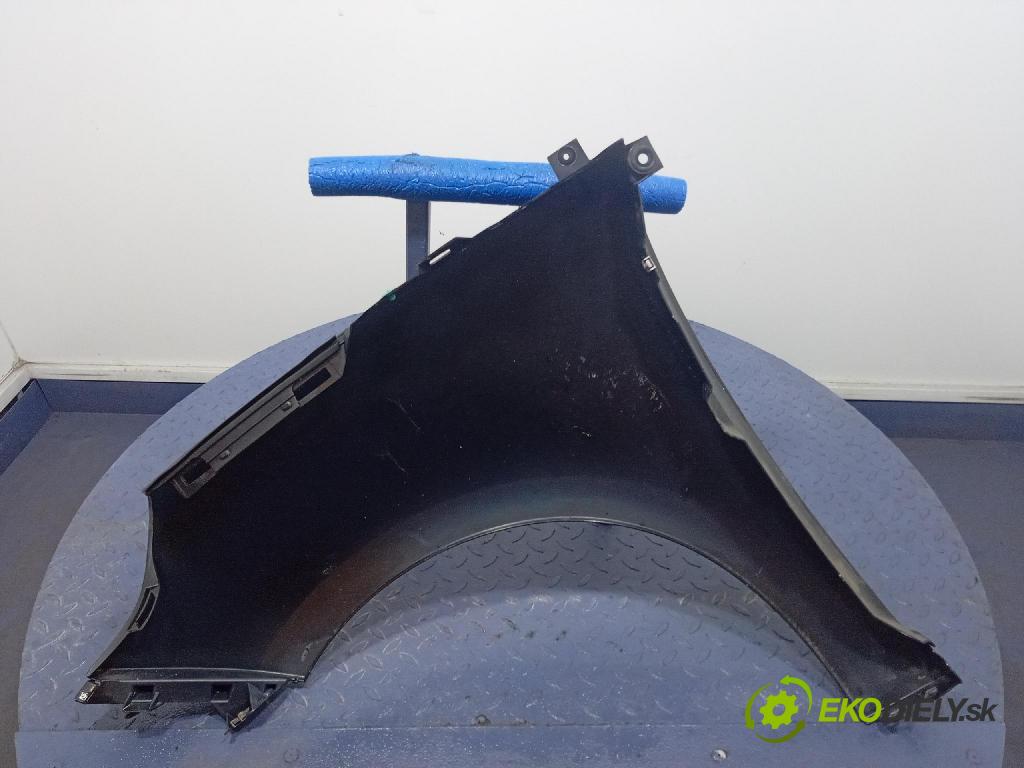 Renault Scenic 2009 blatnik před v pravo: 